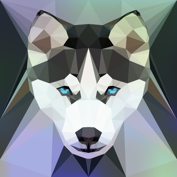 Face of a Husky dog - Vector, Image