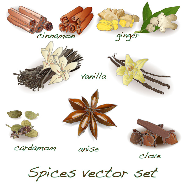 especias vector conjunto
 - Vector, imagen