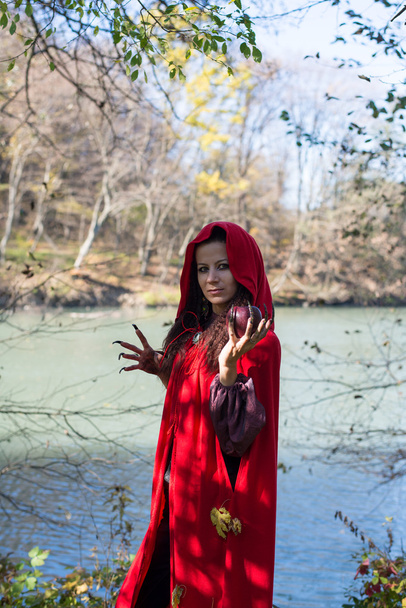 Girl in a red cloak in the lap of nature - Zdjęcie, obraz