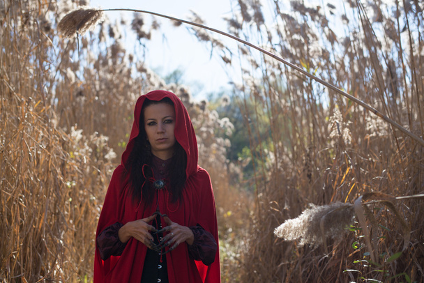 Girl in a red cloak in the lap of nature - Fotografie, Obrázek