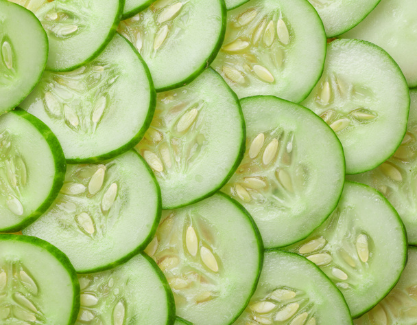 Tuin verse komkommer - Foto, afbeelding