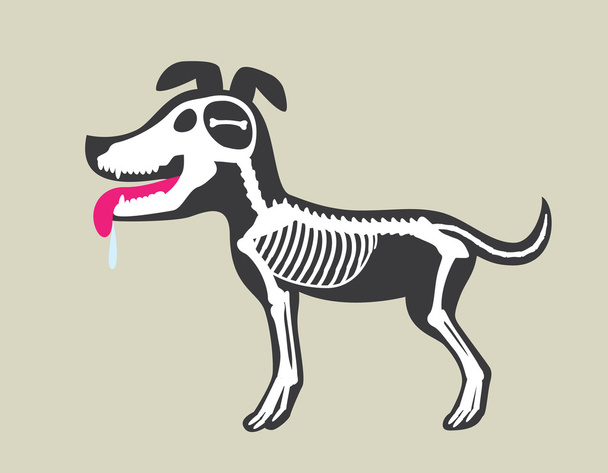 Médula ósea de perro
 - Vector, imagen