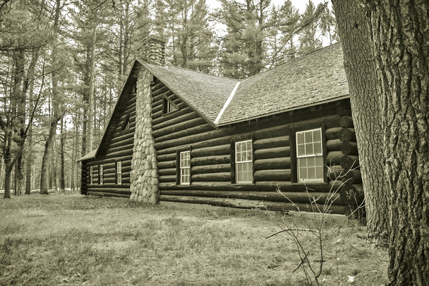 Історичні Log Cabin
 - Фото, зображення