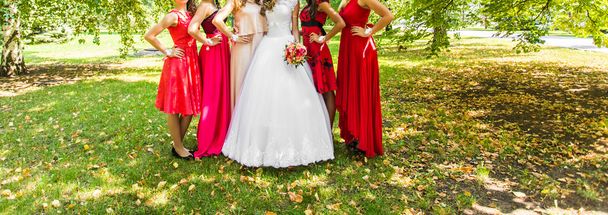 Bride and Groom With Bridesmaids  - Photo, Image