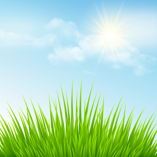 groen gras en een blauwe hemel. vectorillustratie - Vector, afbeelding