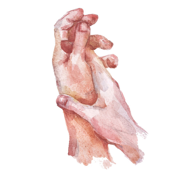 Watercolor  female hands - Vektor, obrázek