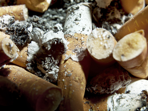 Bunch of cigarettes - Photo, image