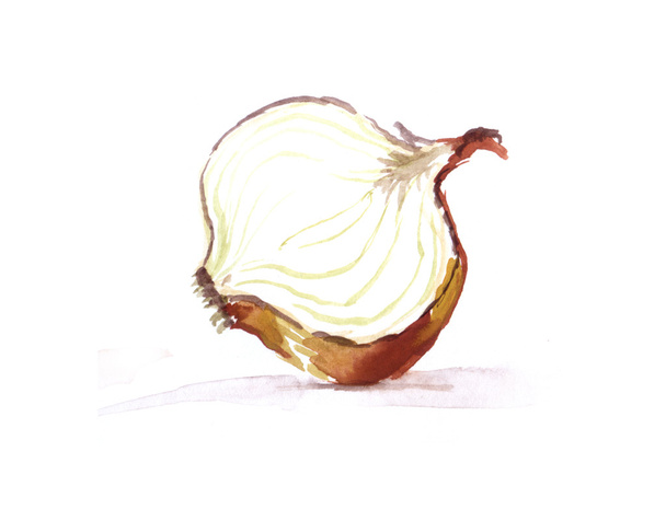 watercolor illustration of vegetables onions - Zdjęcie, obraz