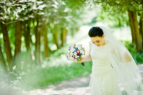 Gorgeus bruna sposa all'aperto
  - Foto, immagini