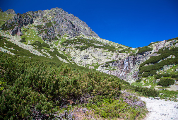 Cascada en High Tatras, Eslovaquia
 - Foto, imagen