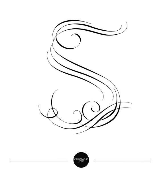  Calligraphic letter. Abstract font - Вектор,изображение