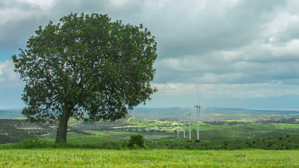 Drzewo rosnące na farmy wiatrowej. Zielonej energii. Ochrona środowiska, globalne ocieplenie - Materiał filmowy, wideo
