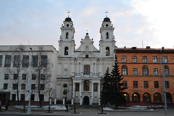 Roman Catholic Cathedral in Minsk - Foto, afbeelding