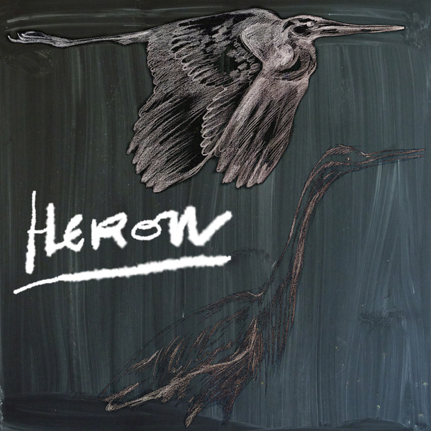 Herons - An hand drawn illustration (post processing) - Foto, imagen