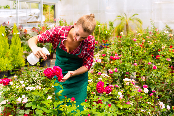 Jardinero femenino en jardín de mercado o vivero
 - Foto, imagen