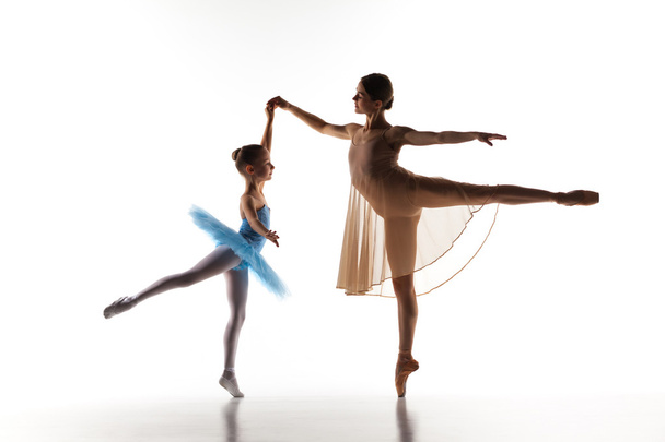 The little ballerina dancing with personal ballet teacher in dance studio - Valokuva, kuva
