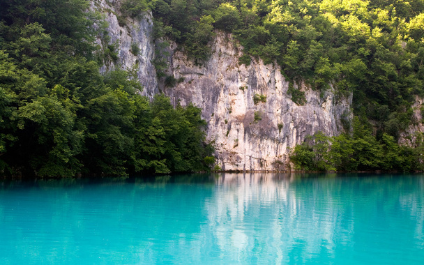 prachtig meer in bos, plitvice, Kroatië - Foto, afbeelding