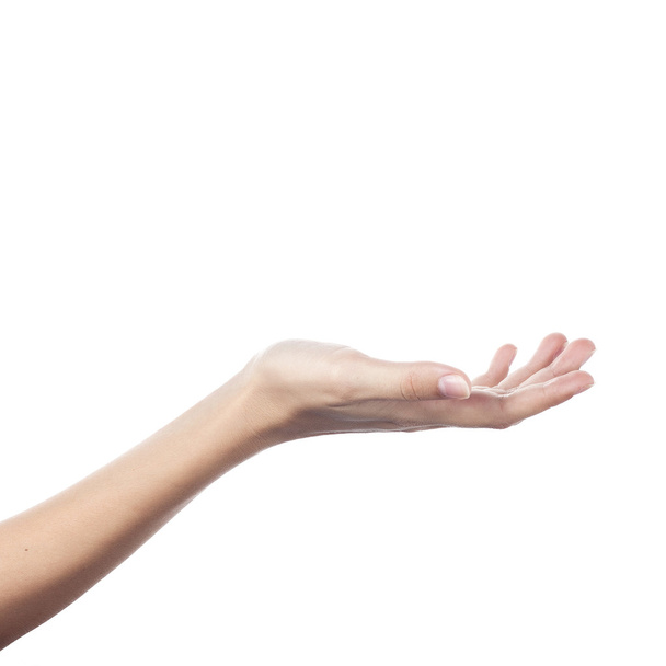Женская рука, чтобы создать коллаж, изолированный на белом
 - Фото, изображение
