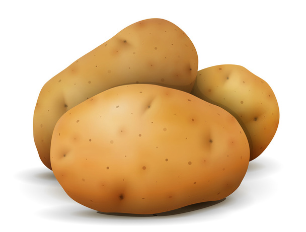 Σωρού κονδύλων πατάτας σε κοντινό πλάνο - Διάνυσμα, εικόνα