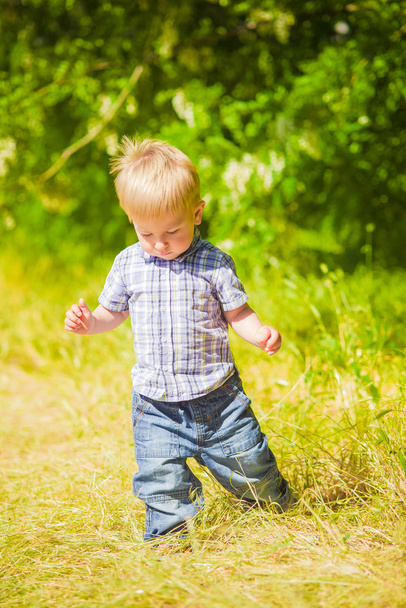 baby boy in the  field - Photo, Image