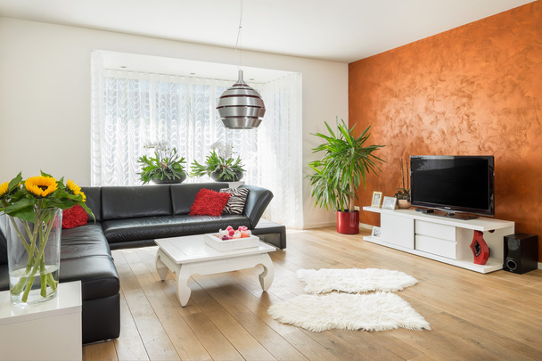 Modern living room interior - Photo, Image