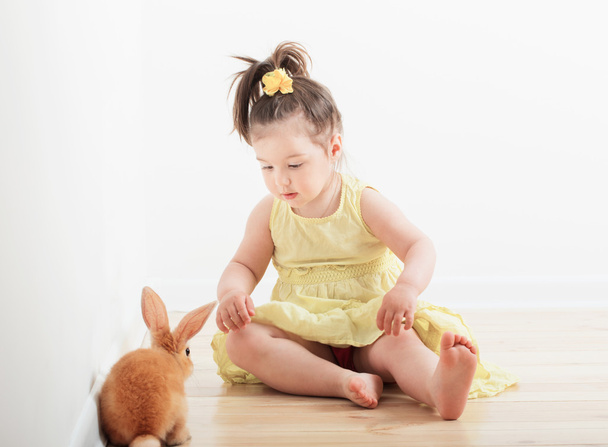 little girl with rabbit indoor - Photo, Image