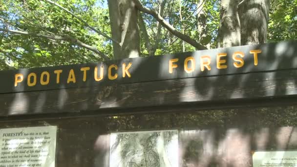 Pootatuck ліс (4 з 4) - Кадри, відео