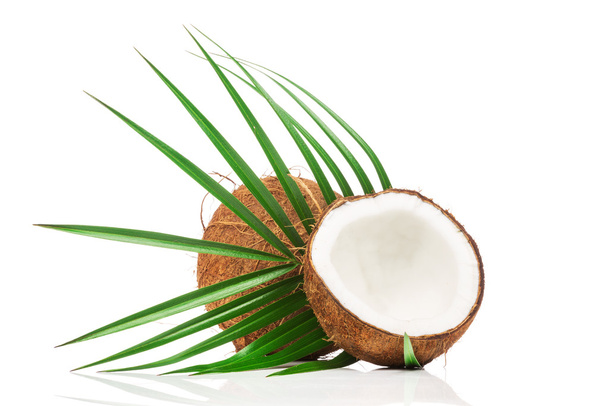 Kokosnoten met groene palm verlaat - Foto, afbeelding
