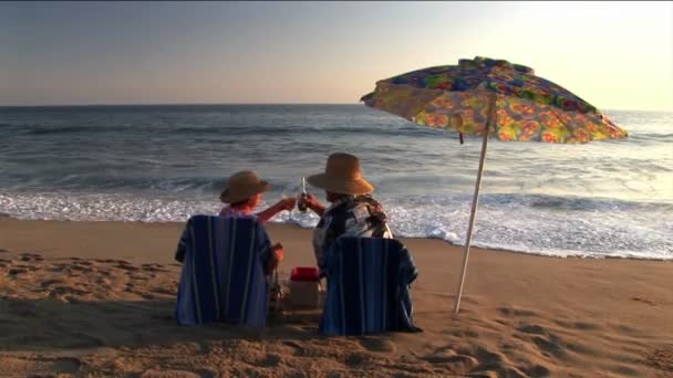 A couple under an umbrella on the beach make a toast and share a kiss. - Felvétel, videó