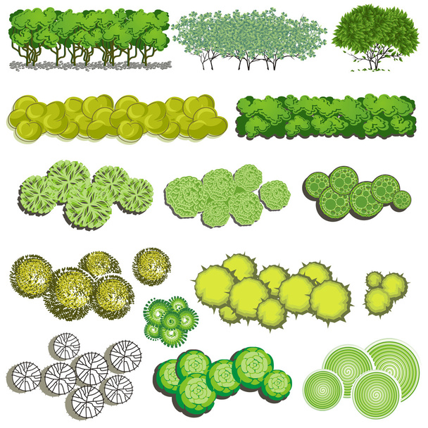 Trees and bush item top view for landscape design, vector icon. - Wektor, obraz