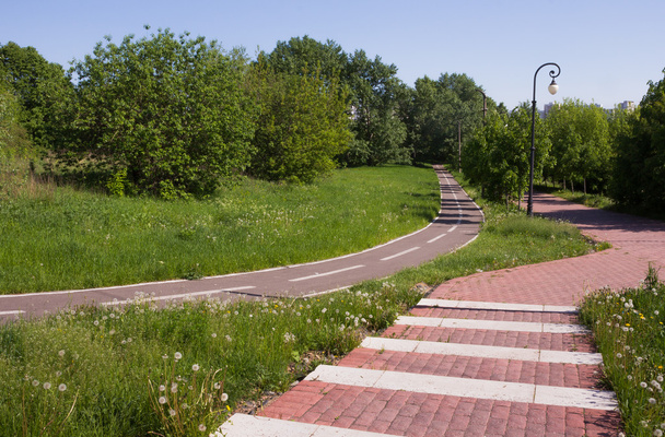 bike path in the park - Fotoğraf, Görsel