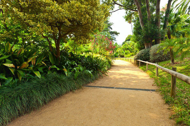 Ботанический сад на средиземноморском побережье Испании, Бланес
 - Фото, изображение
