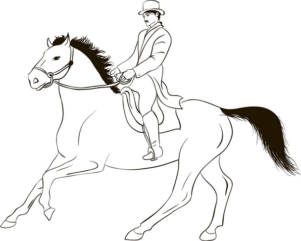 koně a jezdce - Vektor, obrázek