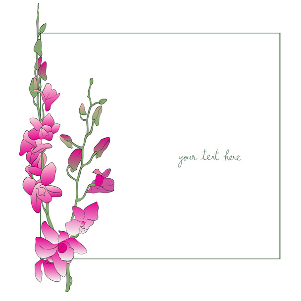 cartão mínimo longo das orquídeas
 - Fotografia, imagem