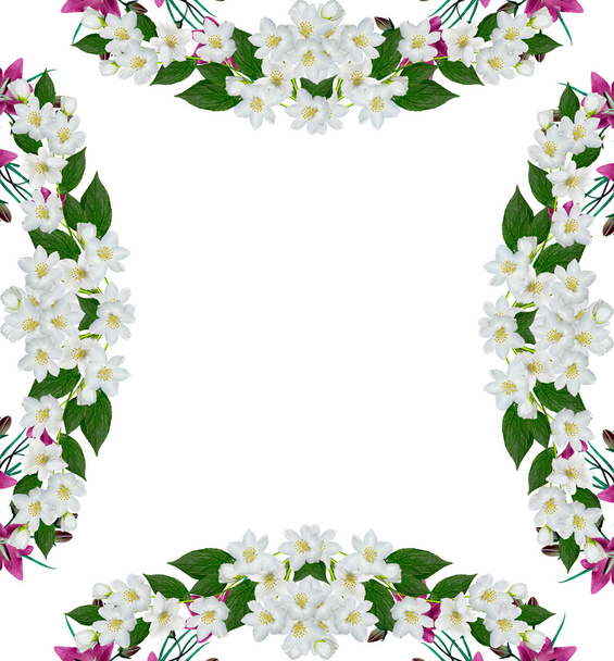 niebieskie kwiaty dzwonek na białym tle - Zdjęcie, obraz