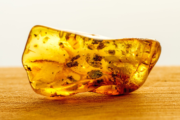 amber with inclusions - Photo, Image