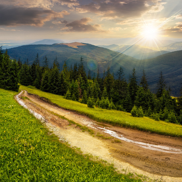 road through conifer forest in mountains at sunset - Fotó, kép