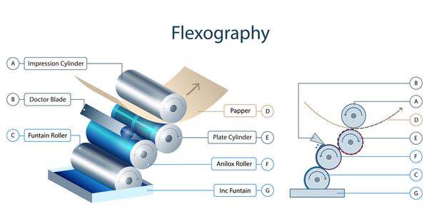 Flexotiskové tiskový mechanismus infographic - Vektor, obrázek