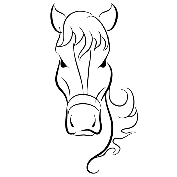 Horse Head Drawing - Vector, imagen