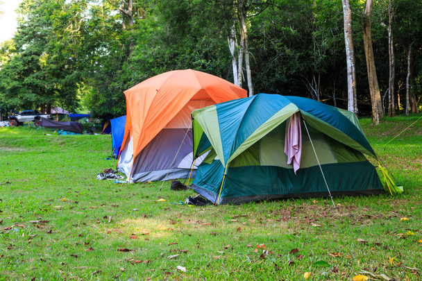 Купольные палатки в кемпинге
 - Фото, изображение