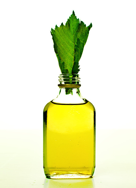 Üveg-és homeopátia citromfű levél - Fotó, kép