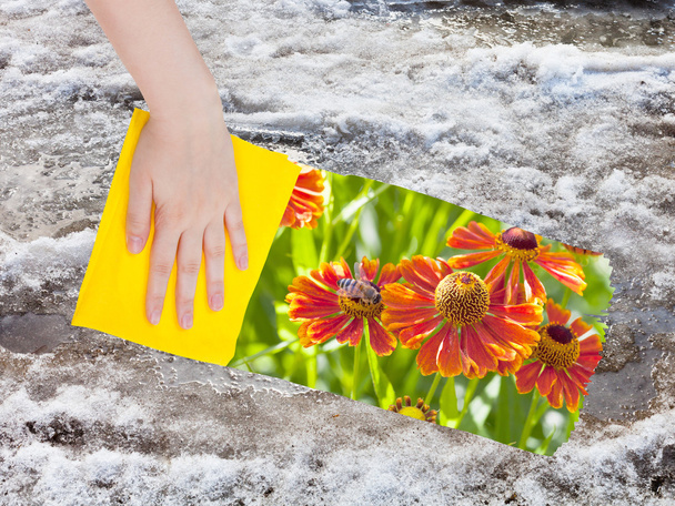 hand deletes melting snow by yellow cloth - Foto, afbeelding