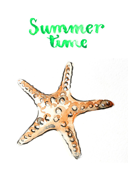 Watercolor hand drawn starfish - 写真・画像