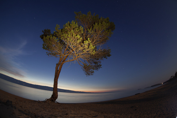 Bajkał. Letnia noc na wyspie Olkhon - Zdjęcie, obraz
