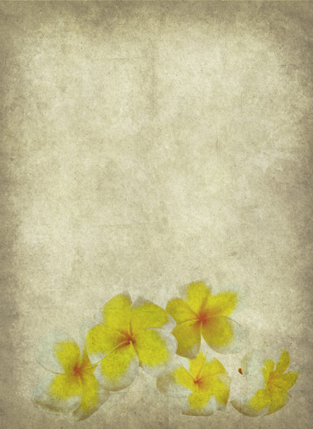 Frangipani o plumeria flor tropical con textura de papel antiguo grunge
 - Foto, Imagen
