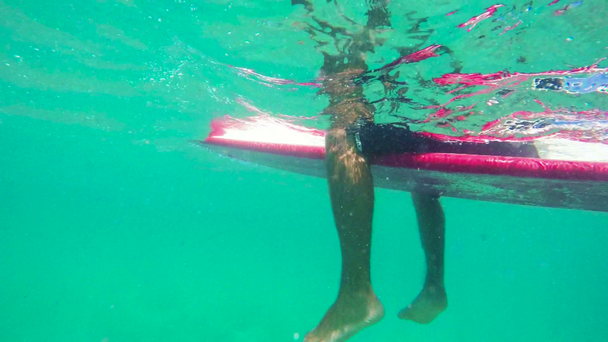 Underwater Angle of Surfer in Hawaii - Záběry, video