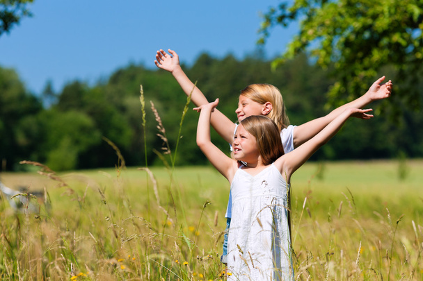 牧草地で幸せな子供たち - 写真・画像