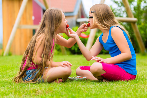 庭のイチゴを食べて遊んで姉妹 - 写真・画像