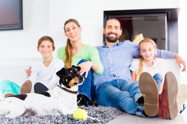 Сім'я сидить з собакою у вітальні
 - Фото, зображення
