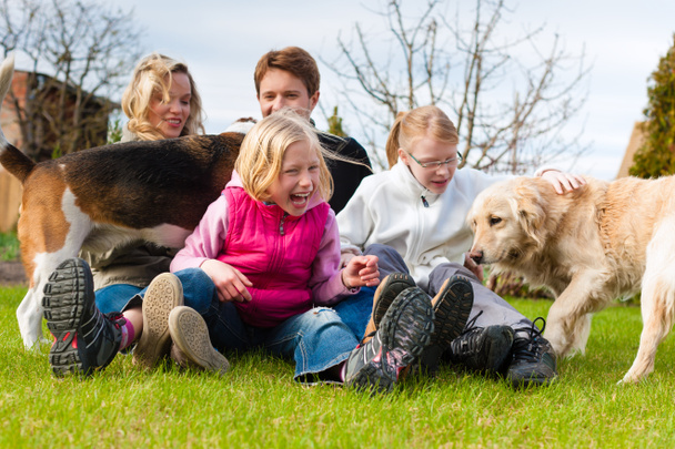 Perhe istuu koirien kanssa niityllä
 - Valokuva, kuva